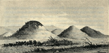 ptoa